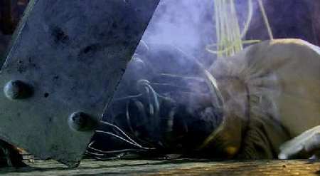 KYLIE MINOGUE EN DR. WHO'S VOYAGE TO THE DAMNED